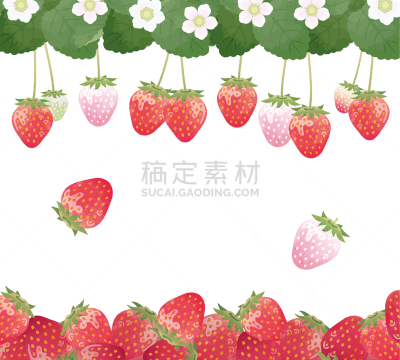 绘画插图,草莓,高雅,水彩画,可爱的,清新,食品,浆果,春天,植物