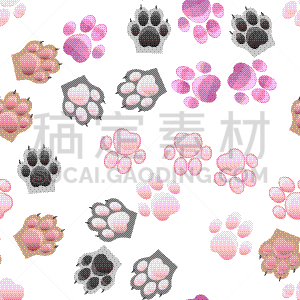 猫,狗,爪,爪印,分离着色,白色,宠物,脚印,野生动物,图像