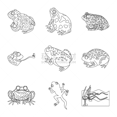 动物,两栖纲,品牌名称,生物学,有毒物质,野生动物,青蛙,池塘,草,牛蛙