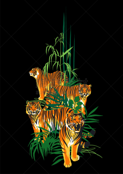 插画,虎,四只动物,现代,动物,孟加拉虎,站,咆哮,步行