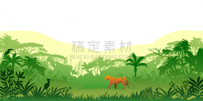 热带气候,鹳,鸟类,美洲豹,雨林,热带雨林,风景,全景,棕榈树,水平画幅