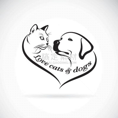 狗,猫,寻回犬,动物头,可爱的,门诊部,模板,设计,坐,爱