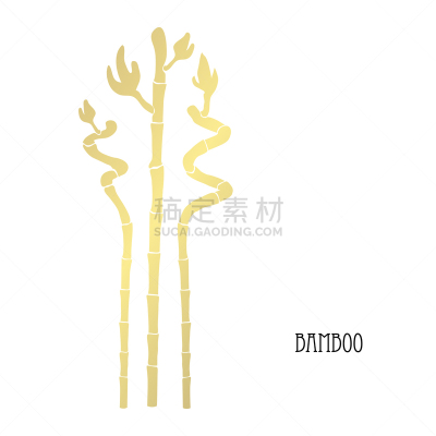 黄金,事件,请柬,周年纪念,婚礼,春天,装饰物,植物,插花,问候