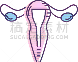 女性,输卵管,健康保健,人,图像,枝繁叶茂,女人
