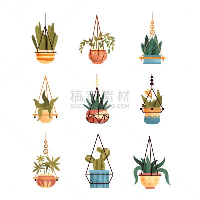 悬挂的,室内,室内植物,绿色,天气,华丽的,绳子,花盆,芦荟,布置