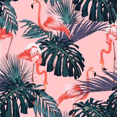 热带气候,火烈鸟,夏天,绘画插图,自然,鸟类,海滩,花,设计