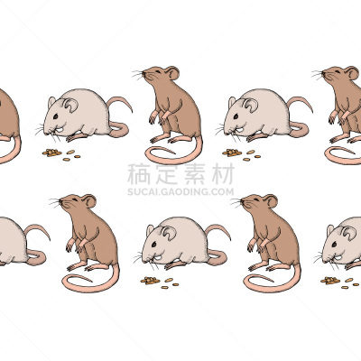 哺乳纲,动物,书,矢量,鼠,老鼠,式样,国境线,数码图形,分离着色