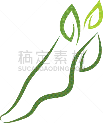模板,计算机图标,品牌名称,足,白色,自然,草本,高雅,概念
