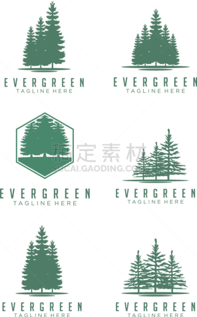 云杉,品牌名称,常绿树,松树,雪松,华贵,木材,雪,公园,设计