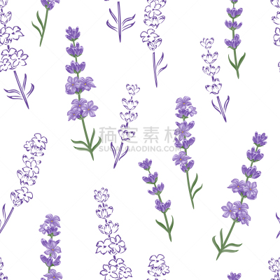 四方连续纹样,熏衣草,绘画插图,背景,卡通,扁平化设计,轮廓,花,花