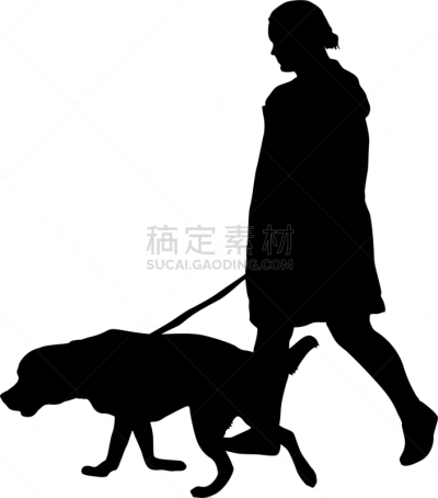 狗,女人,白色背景,纯种犬,梗犬,动物,斯班尼犬,剪影,坐,训练