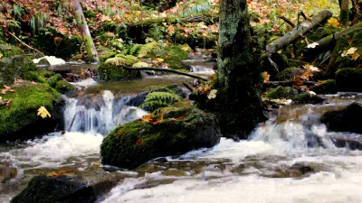 秋色狂野的杜布拉瓦河，风景如画