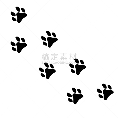 计算机图标,爪印,分离着色,白色,宠物,自然,脚印,野生动物,图像,猫