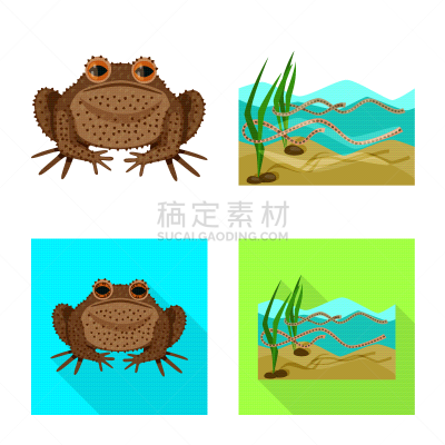 野生动物,藓沼,图标集,人类腺体,褐色,有毒物质,生物学,动物学,设计,收集