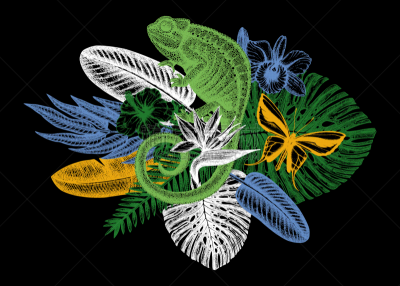 tropical design realistic chameleon drawing