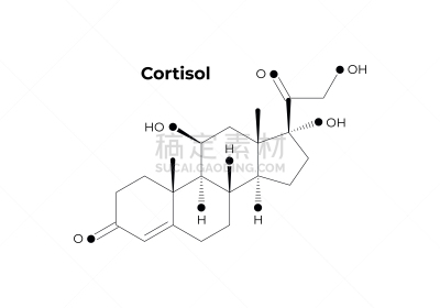 矢量,科学,极简构图,荷尔蒙,分离着色,黑色,白色背景,教育,设计