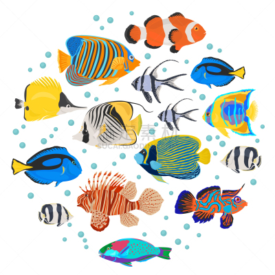 鱼类,图标集,水族馆,图像,矢量,蝴蝶鱼,小丑鳞鲀,黄高鳍刺尾鱼,海葵