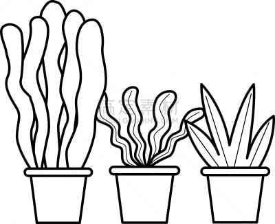 华丽的,花盆,动画片,黑色,清新,植物群,仙人掌,小的,装饰物,布置