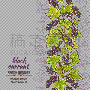 黑醋栗,背景,农业,有机食品,自然,清新,食品,维生素,图像,收集