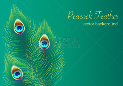 绿色,背景,孔雀羽毛,黑色,华丽的,荧光色,颜色,壁纸,问候