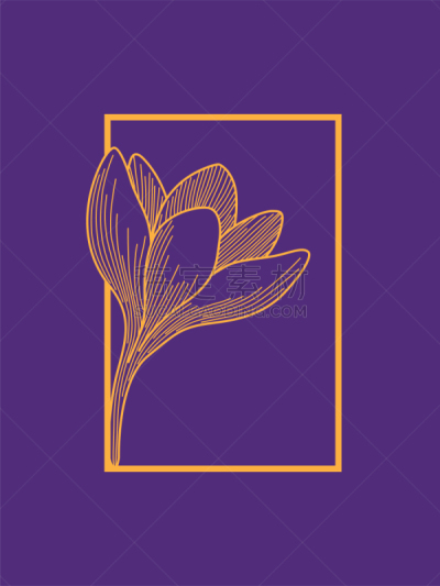 花坛,橙色,紫色,边框,番红花属,极简构图,设计