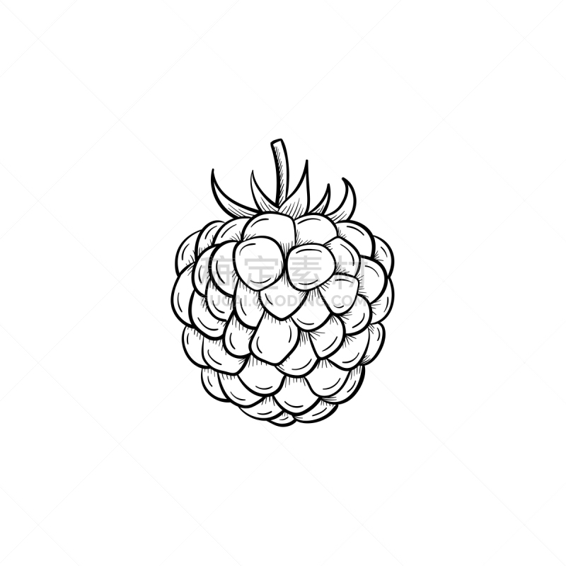 Raspberry hand drawn sketch icon