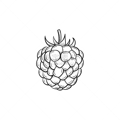 Raspberry hand drawn sketch icon