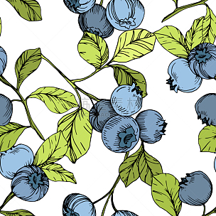 蓝莓,雕刻图像,艺术,绿色,墨水,蓝色,茎,清新,纺织品,食品