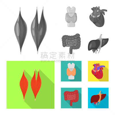 生物学,科学,背的，脊的,分离着色,健康保健,人,整形器具,图像,收集,设计