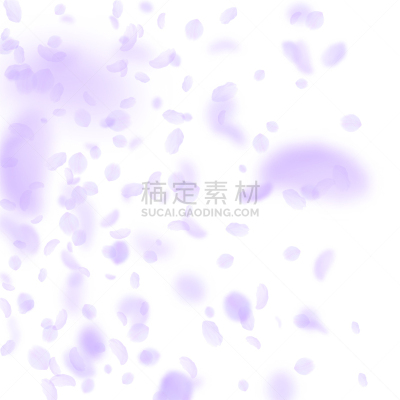 浪漫,花瓣,紫色,酷,晚樱科,分离着色,白色,请柬,粉色,落下