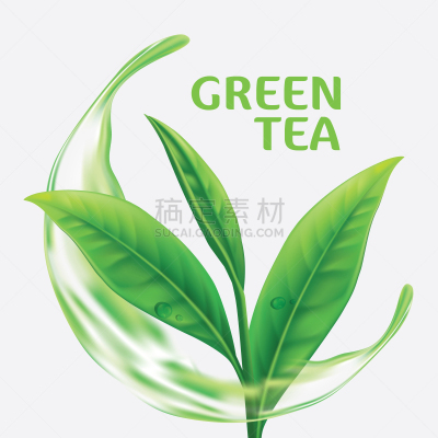 绘画插图,矢量,绿色,茶叶,饮料,农业,热,健康保健,清新,写实