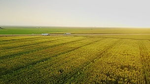 I-5穿越中央谷地农田的日落航拍