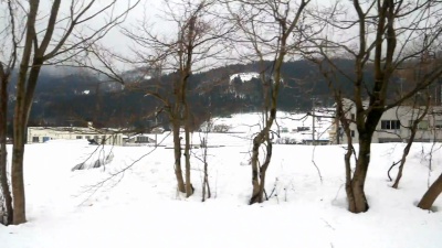 高山火车上的景色
