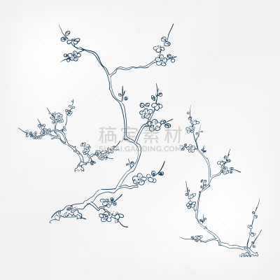 日本,桃,式样,矢量,涂料,草图,设计元素,高雅,花