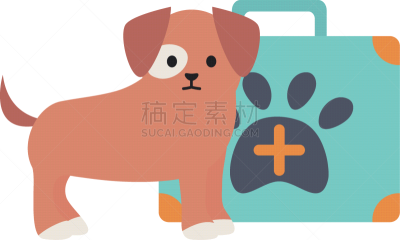 可爱的,急救包,哈巴狗,宠物,纯种犬,愉悦,图像,狗,哺乳纲,爱