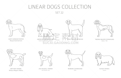 狗,分离着色,白色,线条,极简构图,可爱的,布列塔尼,纯种犬,梗犬,收集