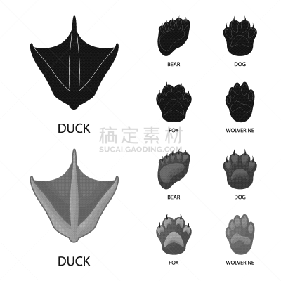 分离着色,品牌名称,一个物体,可爱的,脚印,脉搏图,野生动物,步行,踏步,布置