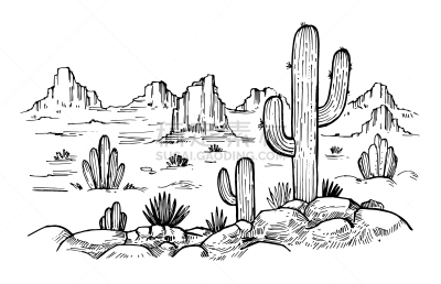 仙人掌,沙漠,草图,绘画插图,草原,美国,矢量,手,地形,绘制