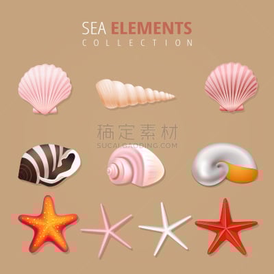 夏天,海洋,天气,饮料,模板,海星,你好,贝壳,节日,设计