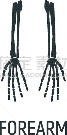 白色,概念,矢量,x光,人类骨架,绘画插图,人,计算机图标,手臂,平坦的