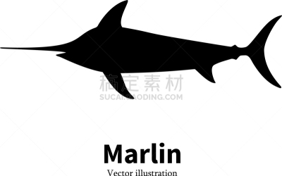 黑色,马林鱼,鱼肉,分离着色,白色,概念,剑,海洋,剪影