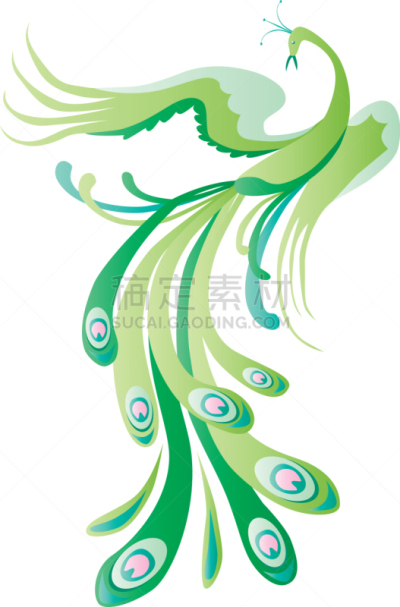 鸟类,绿色,华丽的,飘然,弹性,图像,美,叶子,图画书,装饰