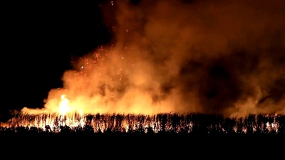 野火