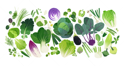 甘蓝,蔬菜,剪贴画,计算机图标,韭,背景分离,香料,西兰花,花椰菜,模板