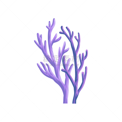 水下,植物群,珊瑚,海洋,海草,紫色,创造力,自然,野生动物,图像