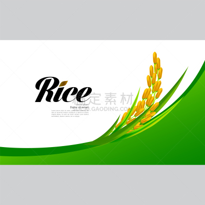 米,矢量,概念,品质,溢价,非凡的,设计