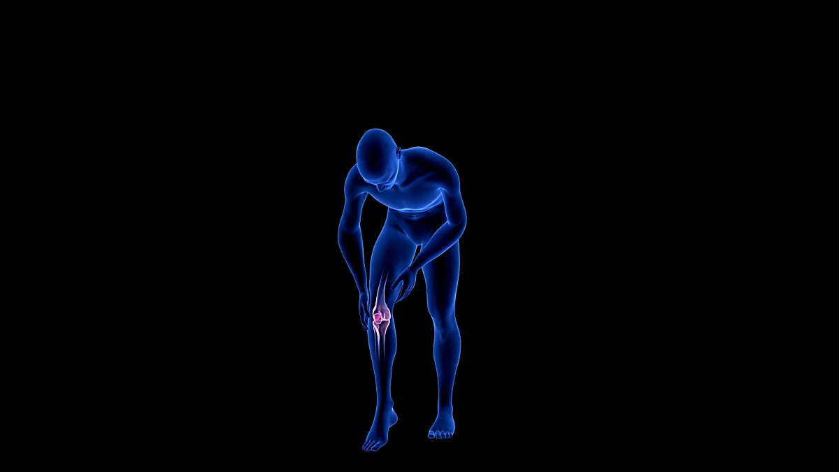 膝盖疼。蓝色人体解剖体3D扫描渲染-旋转无缝环路