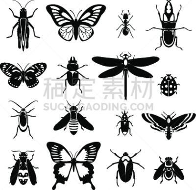 图标集,昆虫,黑白图片,背景分离,翅膀,甲虫,蚂蚁,蚊子,蚊蝇,蜘蛛