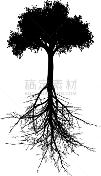 起源,轮廓,矢量,不明确的地点,植物,图像,黑色,剪影,树