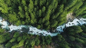 无人驾驶飞机飞越蓝河湍急的春天流淌在古老的林木之上